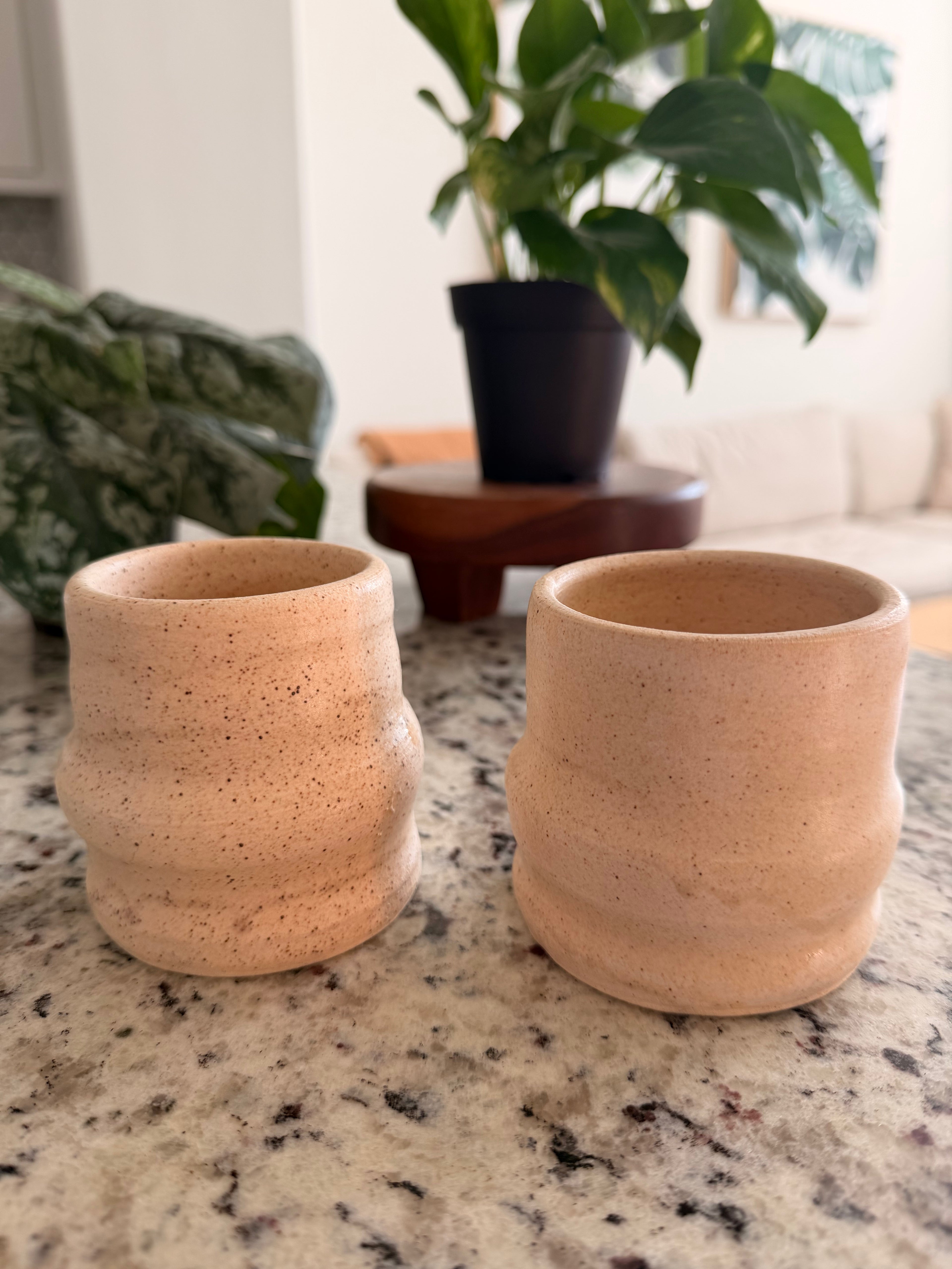Set of 2 Ceramic Mugs