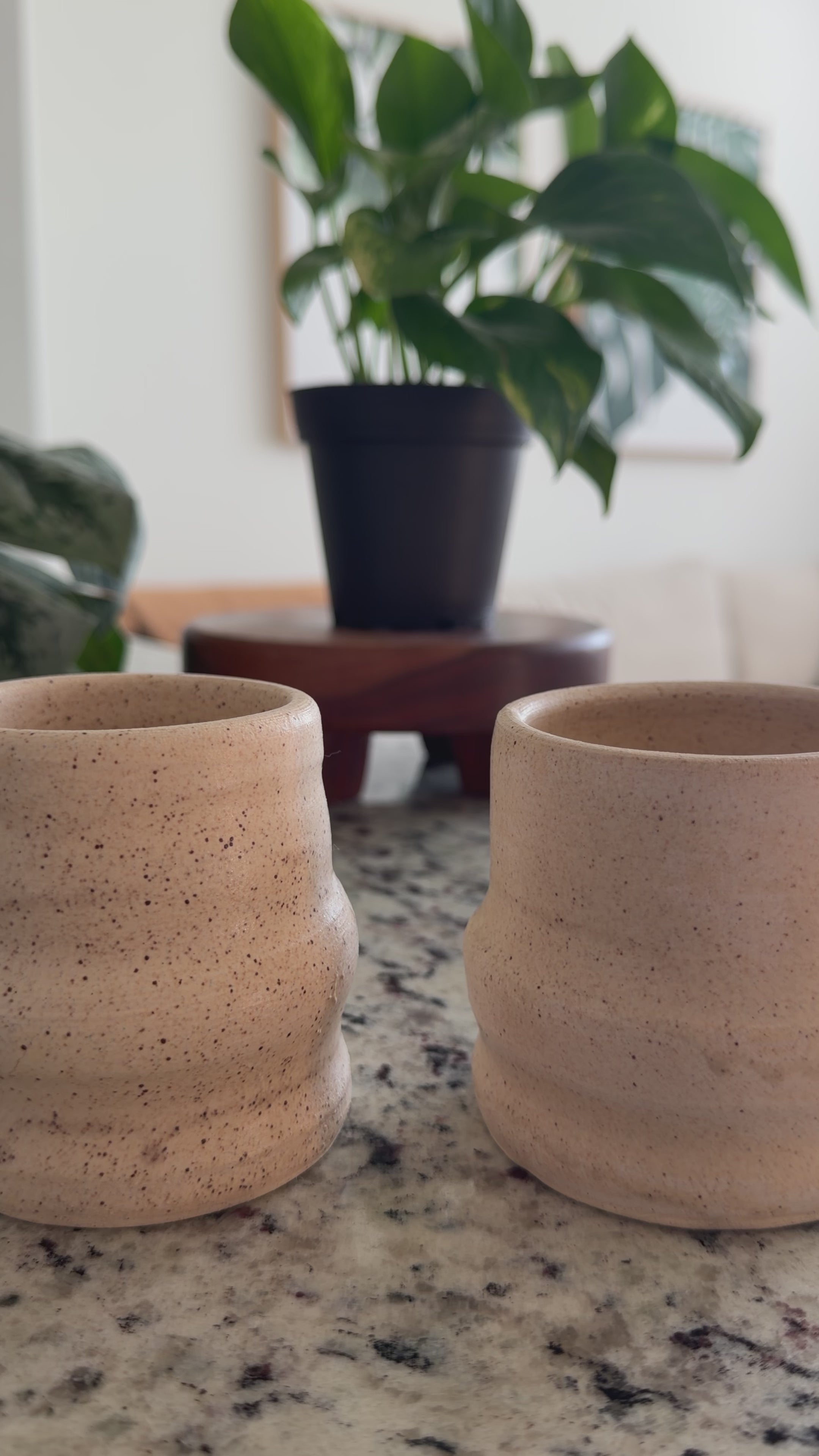 Set of 2 Ceramic Mugs